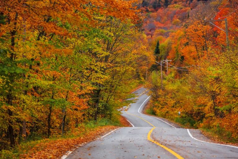 route 100 vermont fall foliage road trip dp